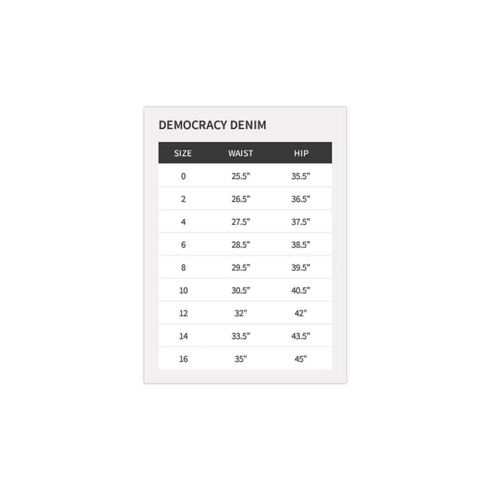 Democracy "Ab" solution High Rise Slim Straight Luxe