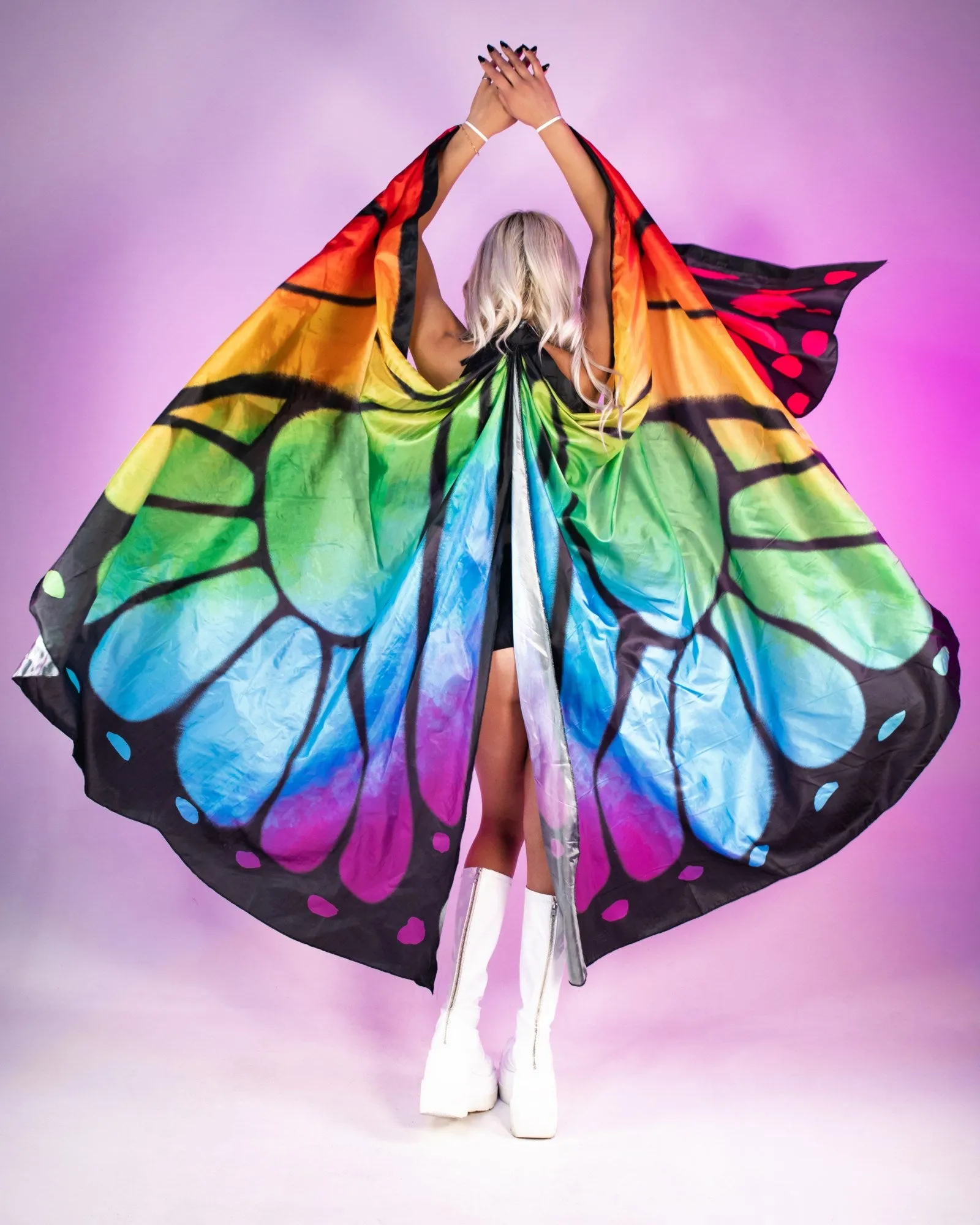Festival Butterfly Wings